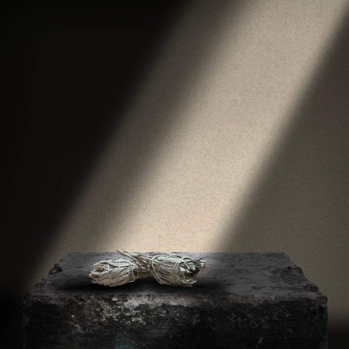 SAUGE BLANCHE | WHITE SAGE