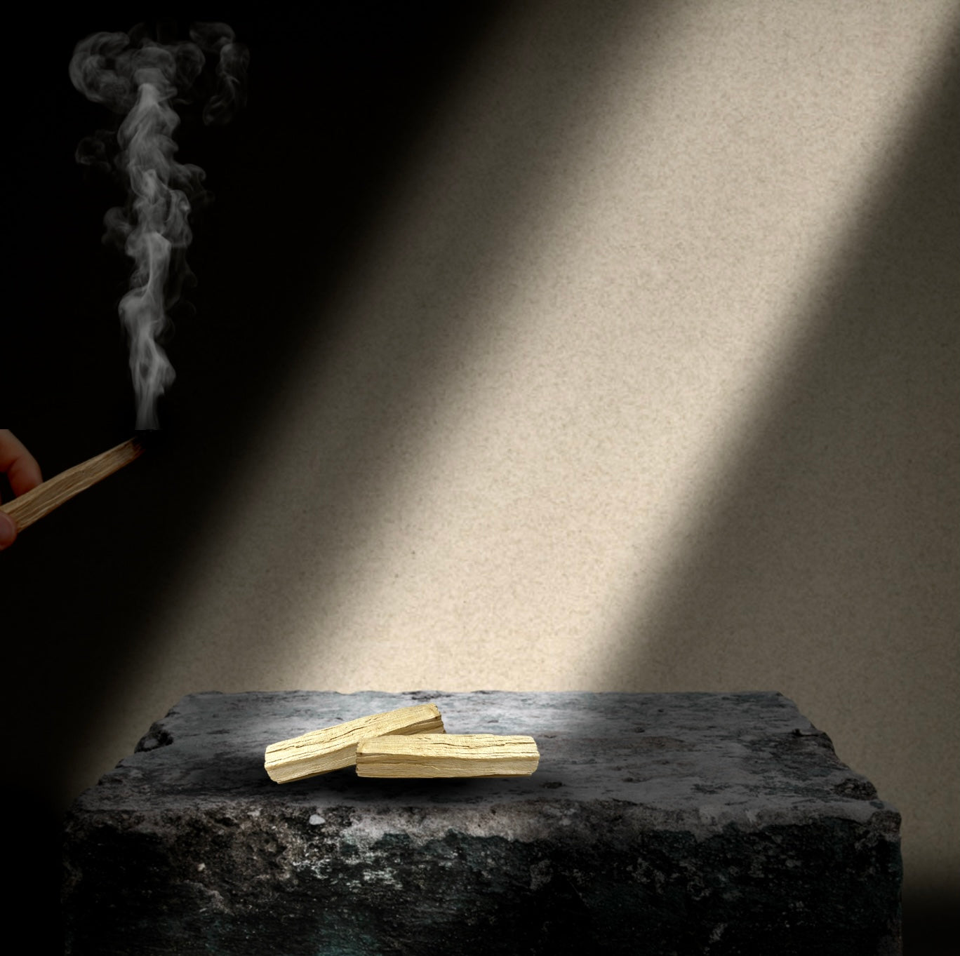 BOIS SACRÉ | PALO SANTO