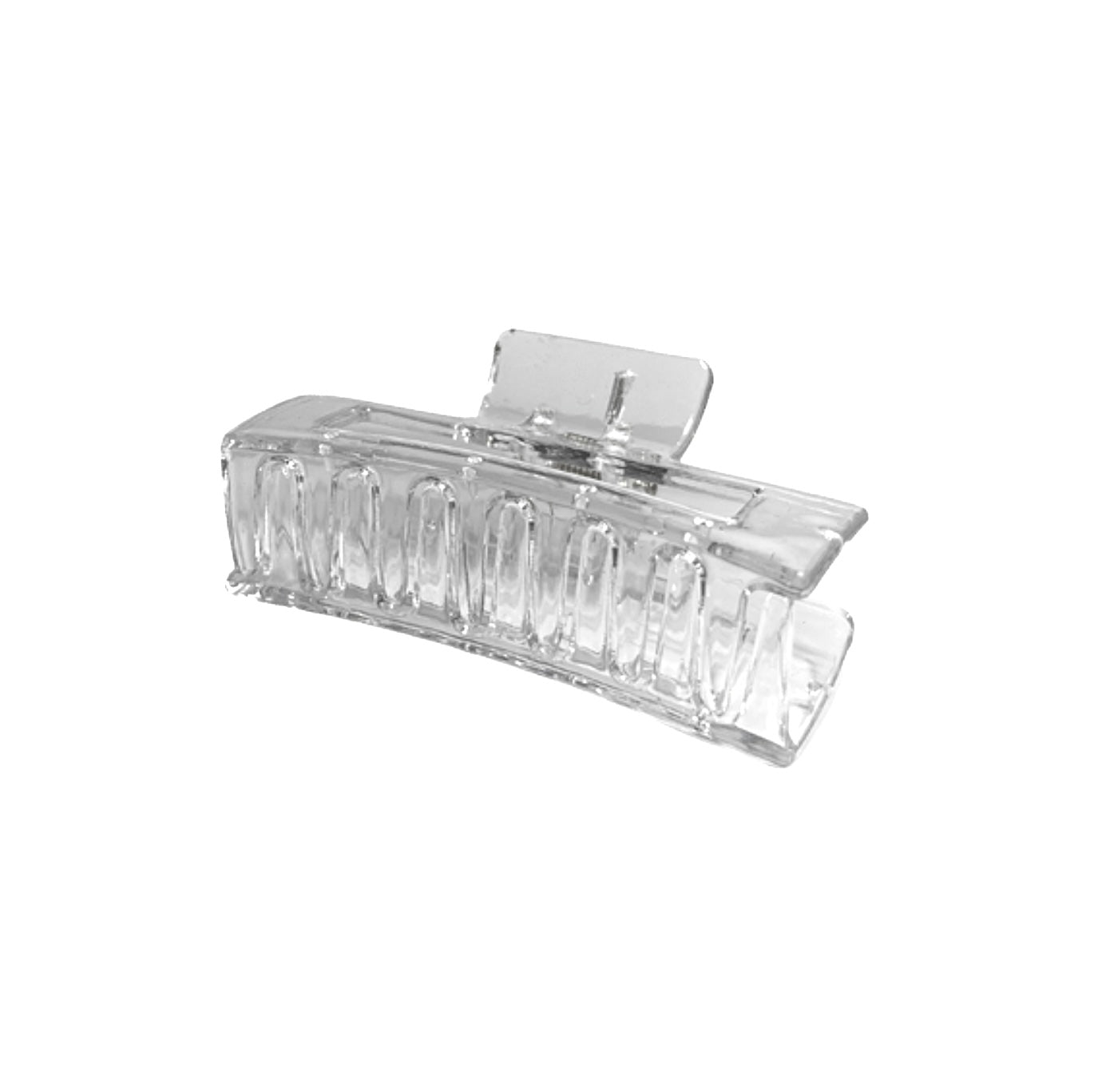 ZARA HAIR CLAW | CLEAR