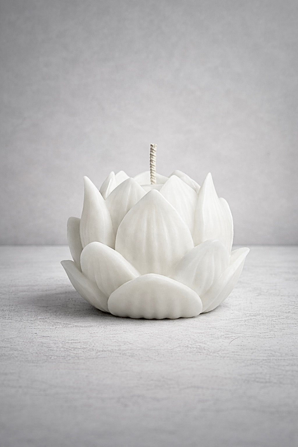 Nelumbo