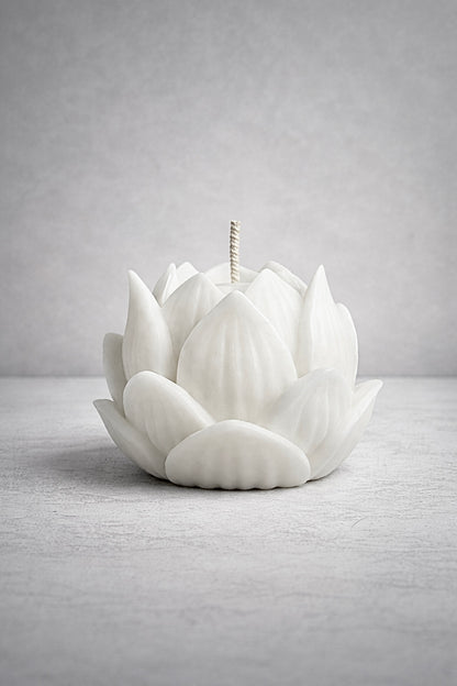 Nelumbo