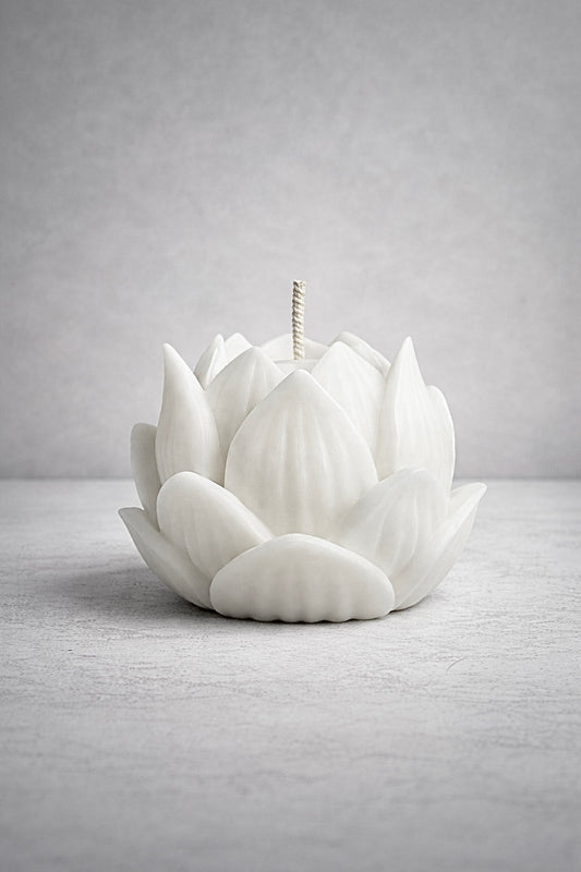 Nelumbo