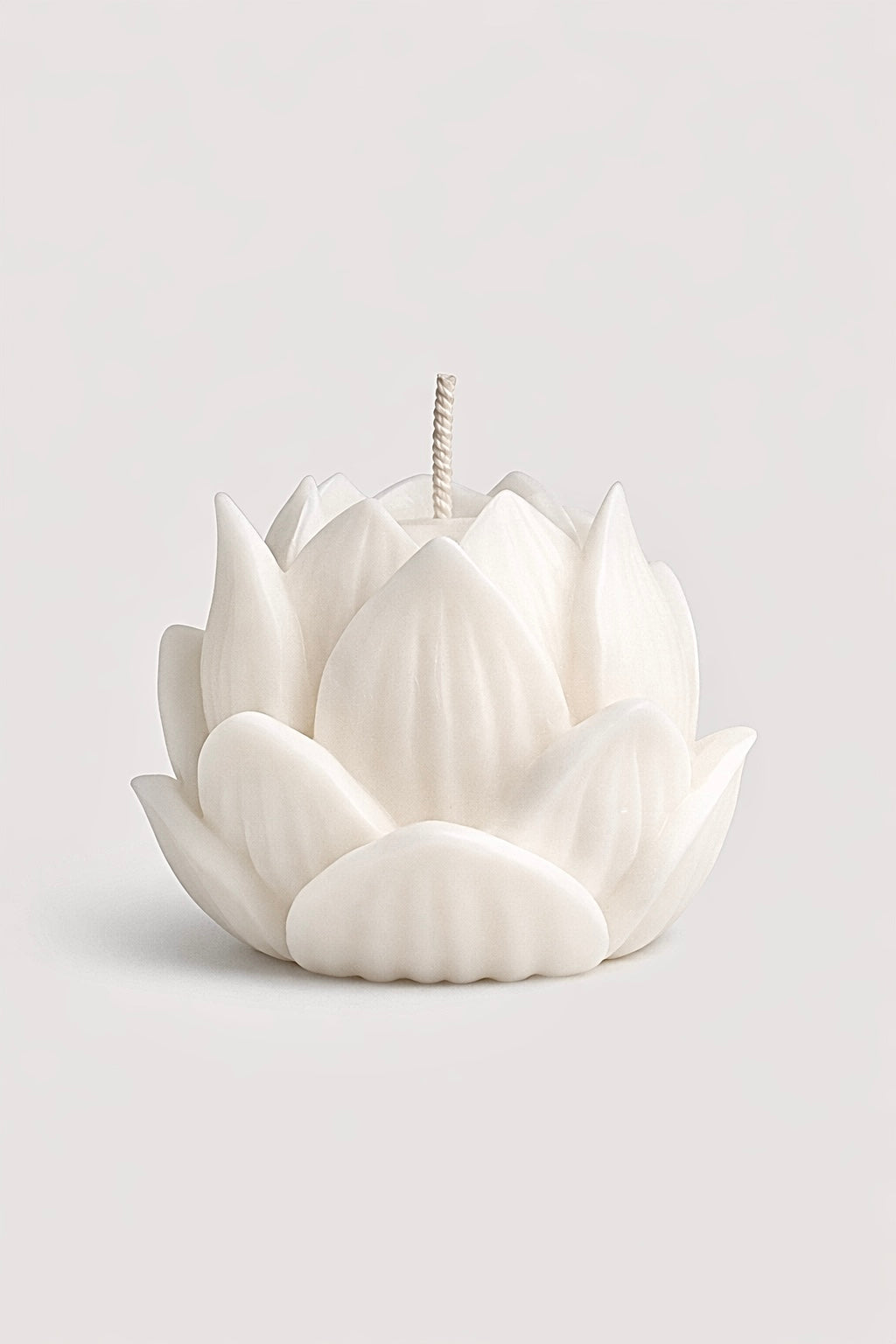 Nelumbo