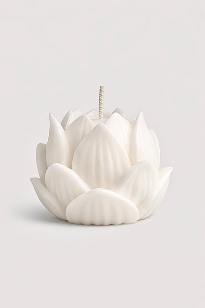 Nelumbo